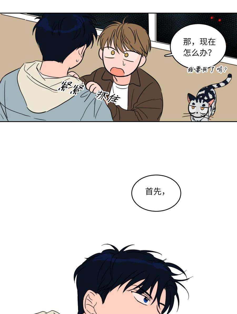 心跳加速的合租生活05 捉鬼