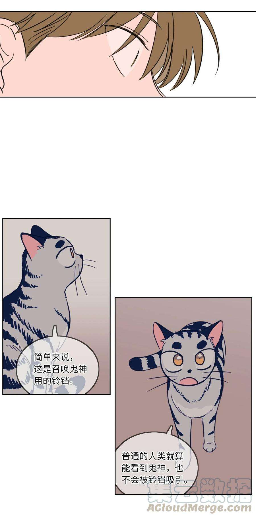 心跳加速的合租生活11 解救安助教