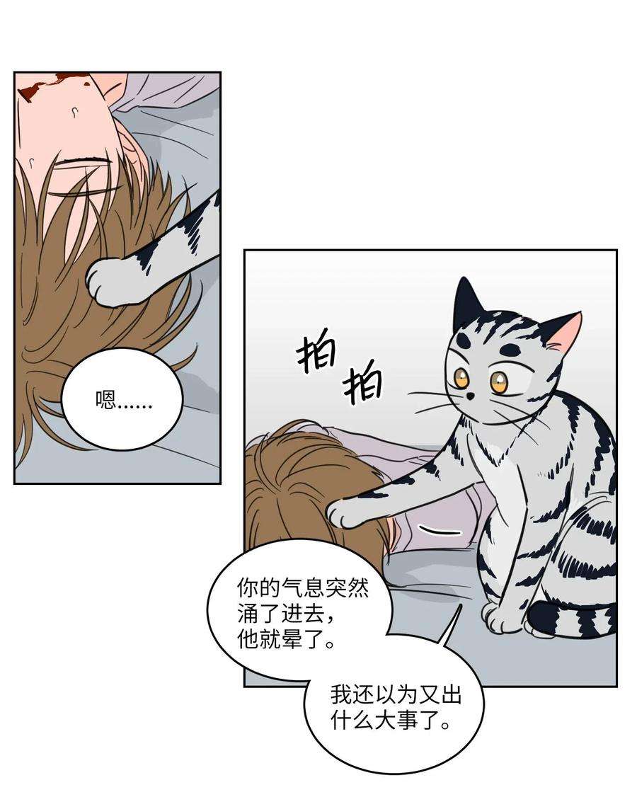 心跳加速的合租生活19 取珍珠