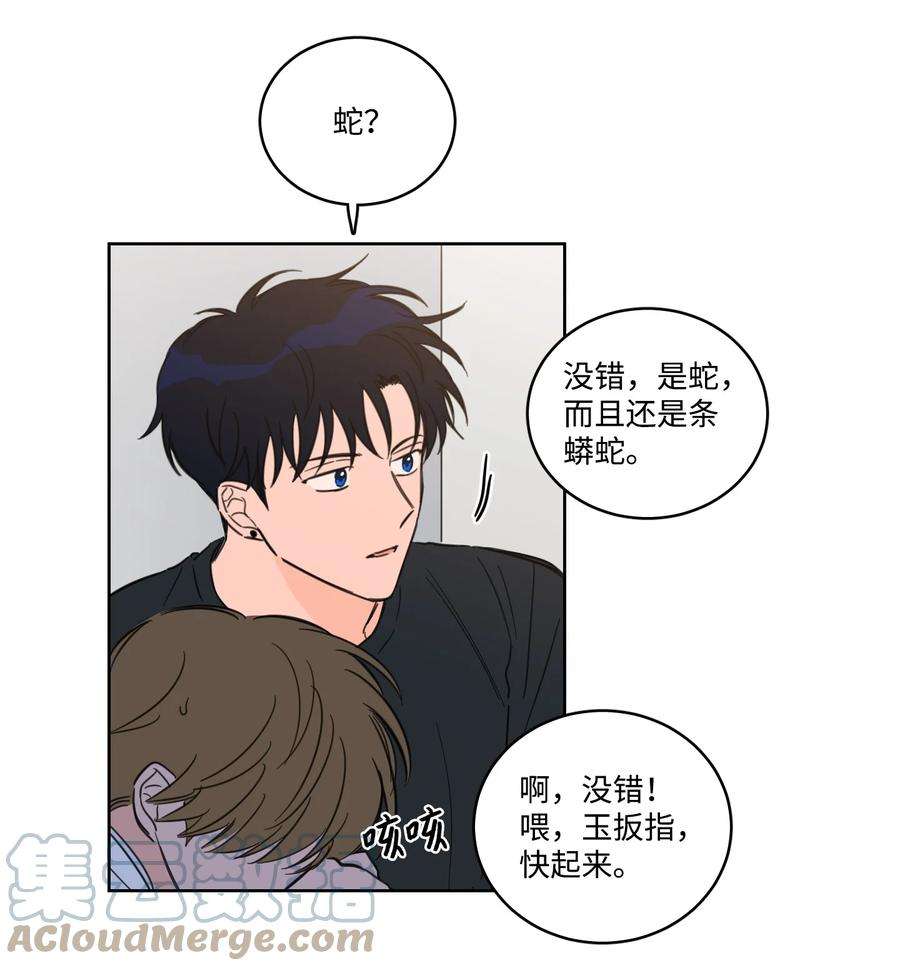 心跳加速的合租生活56 蟒蛇的诅咒