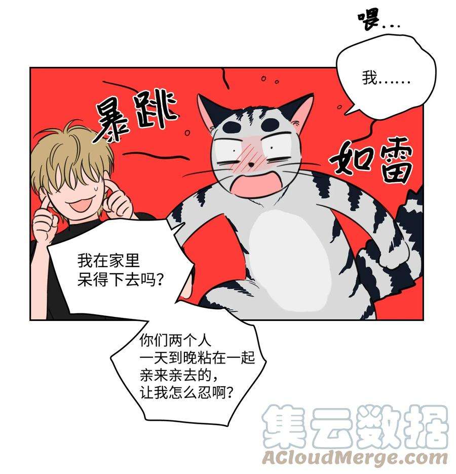 心跳加速的合租生活56 蟒蛇的诅咒