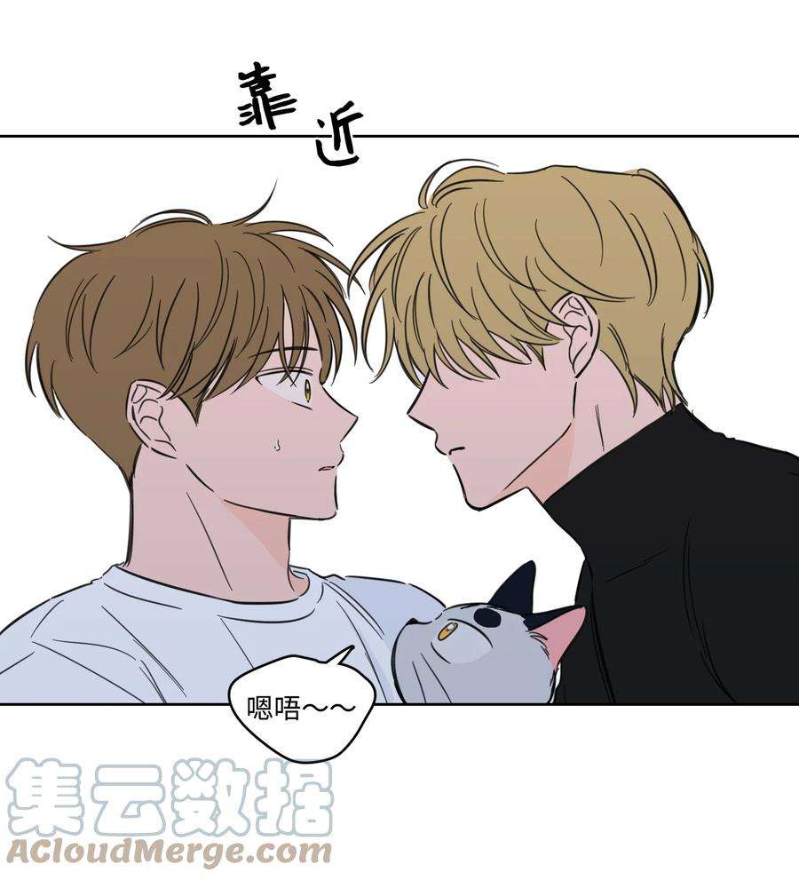 心跳加速的合租生活56 蟒蛇的诅咒