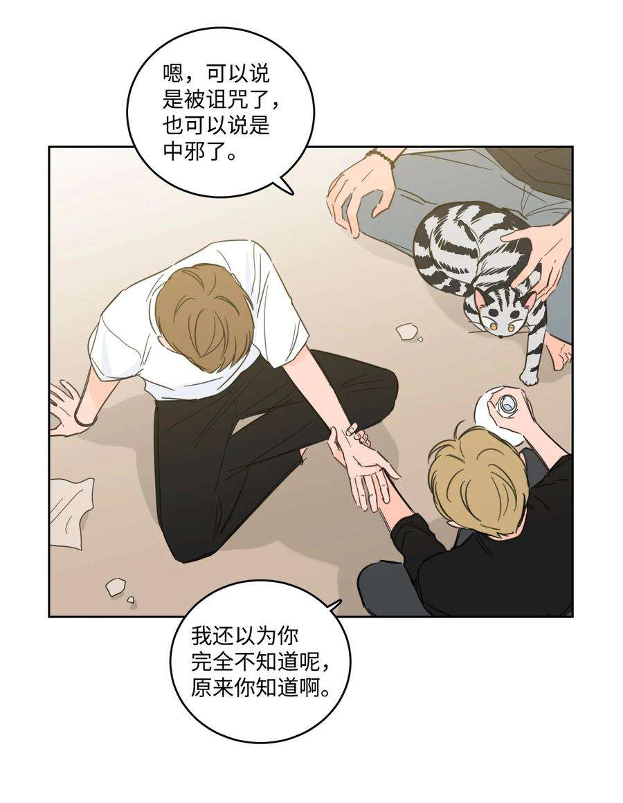 心跳加速的合租生活56 蟒蛇的诅咒