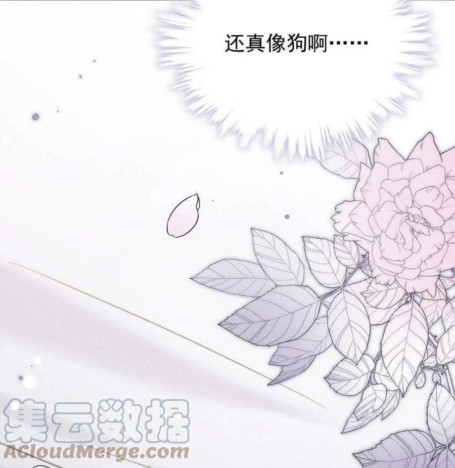 白莲绿茶男友的千层套路009 男人就像狗。