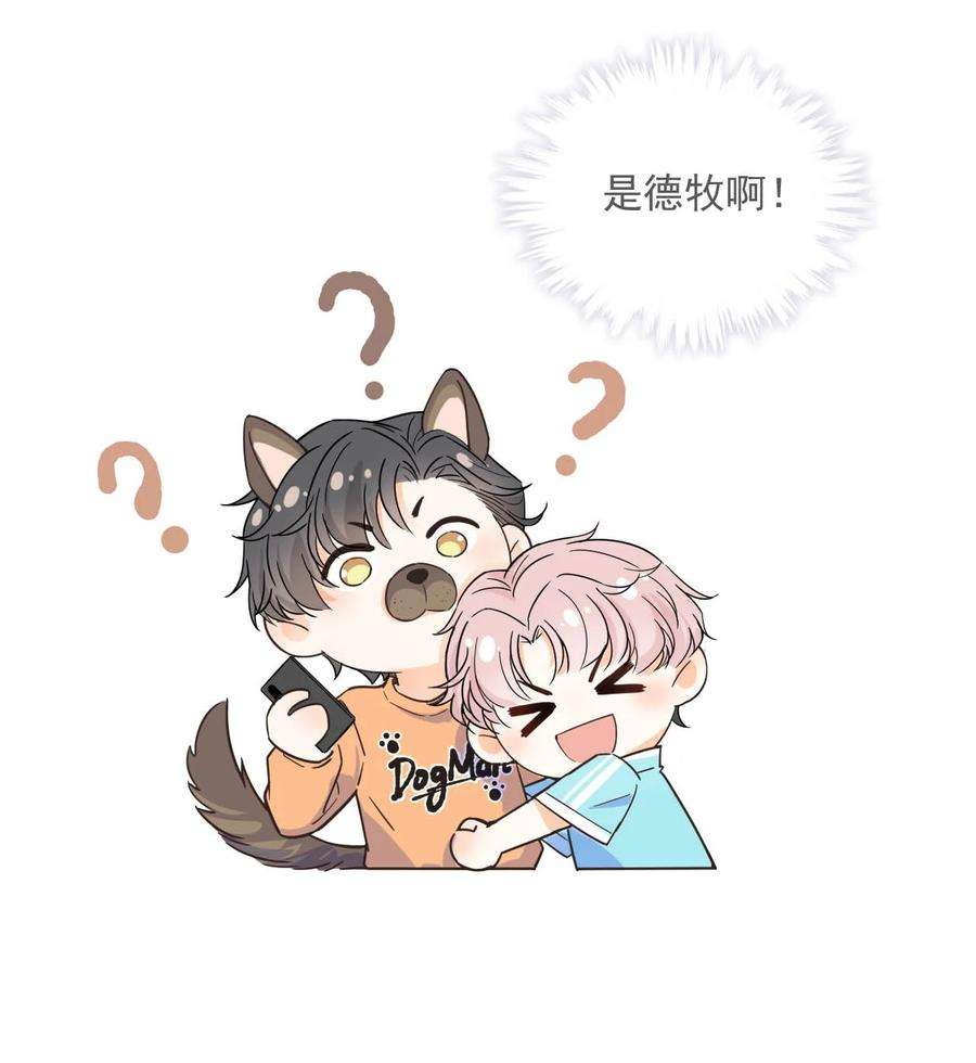 白莲绿茶男友的千层套路009 男人就像狗。