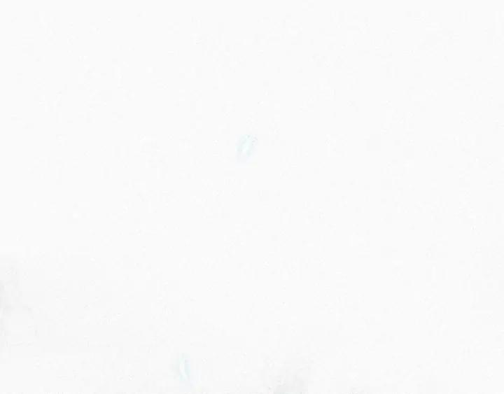 傲娇奶爸休想逃27话 贱人们遭到报应