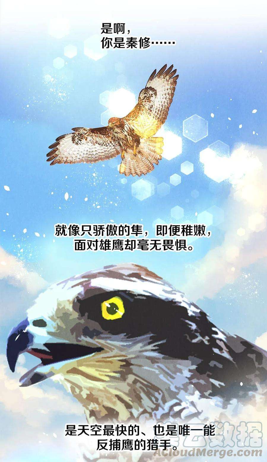 校花与他的小卷毛20 成为你自己