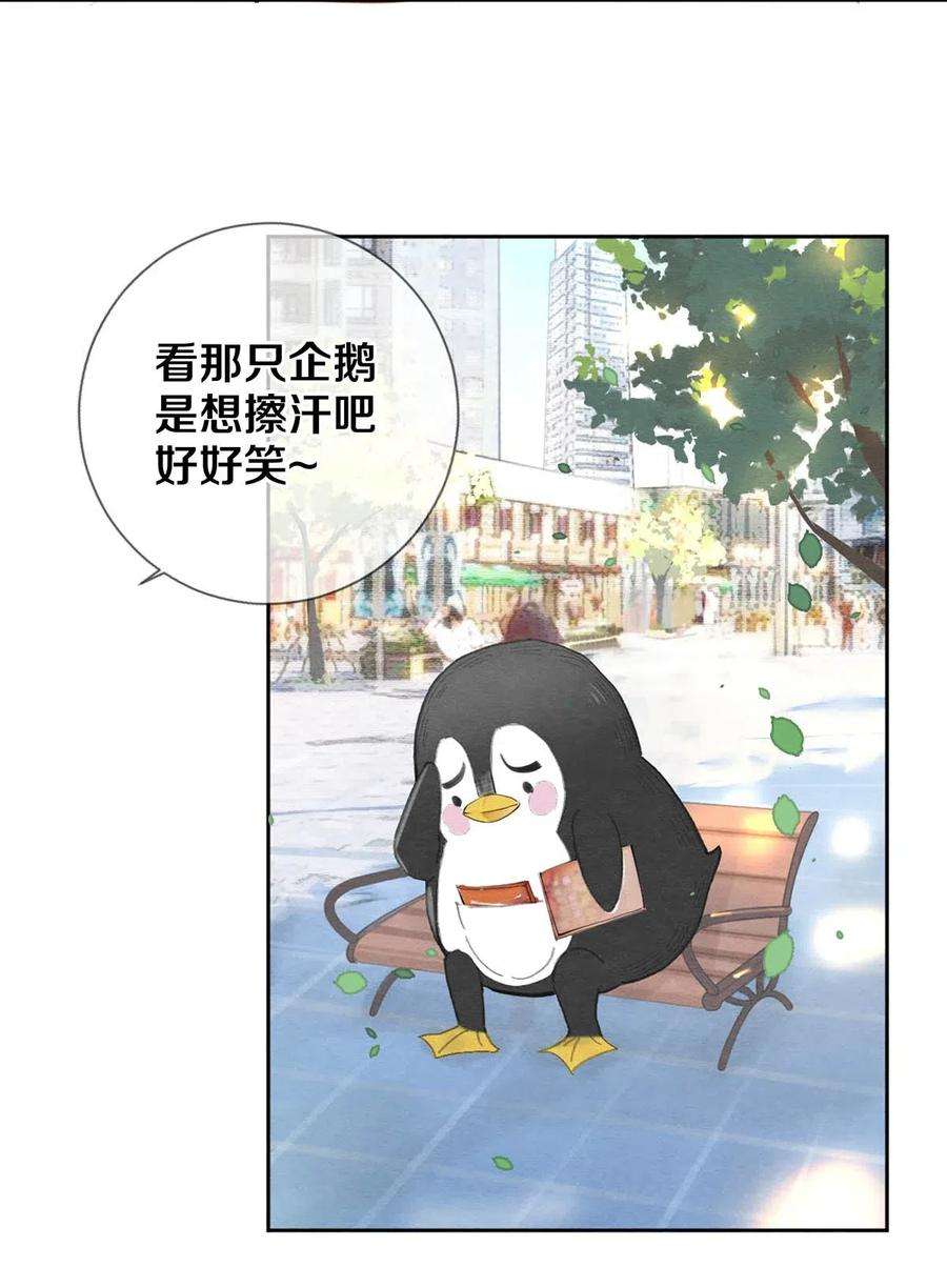 校花与他的小卷毛39 召唤兽是只企鹅