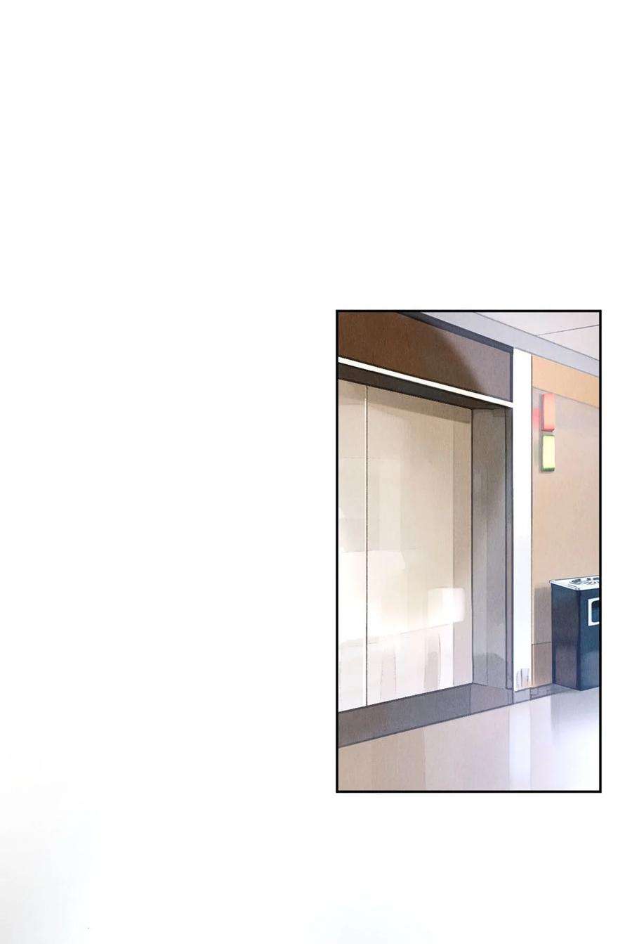 校花与他的小卷毛63 新的偶像团体