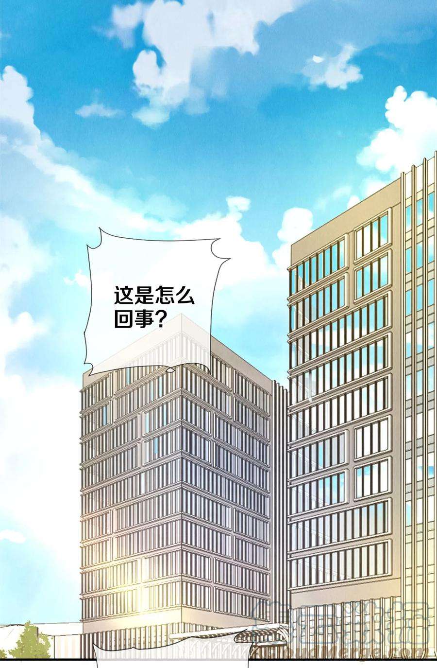 校花与他的小卷毛86 这要命的黑通稿