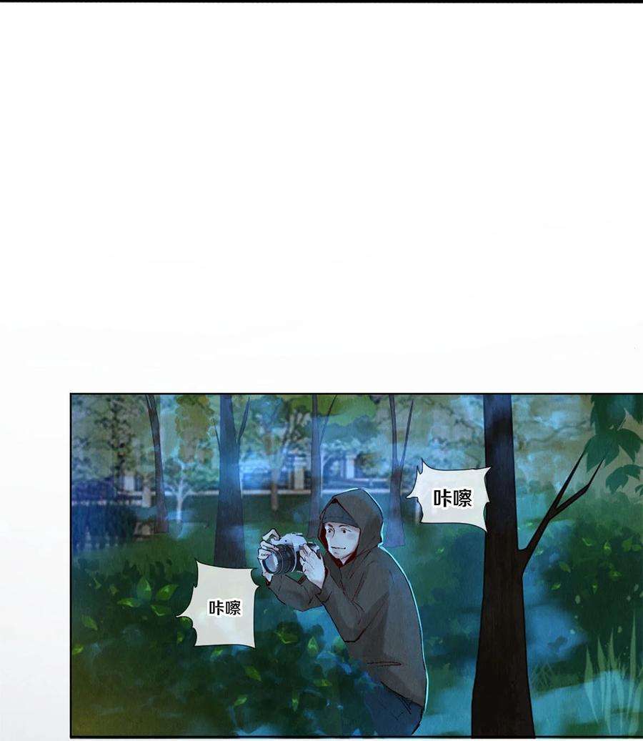 校花与他的小卷毛86 这要命的黑通稿