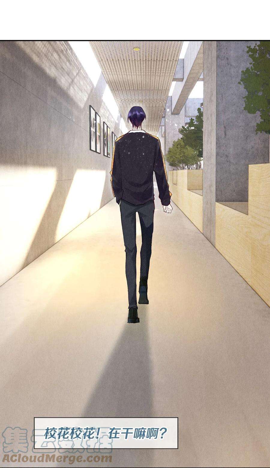 校花与他的小卷毛90 解散