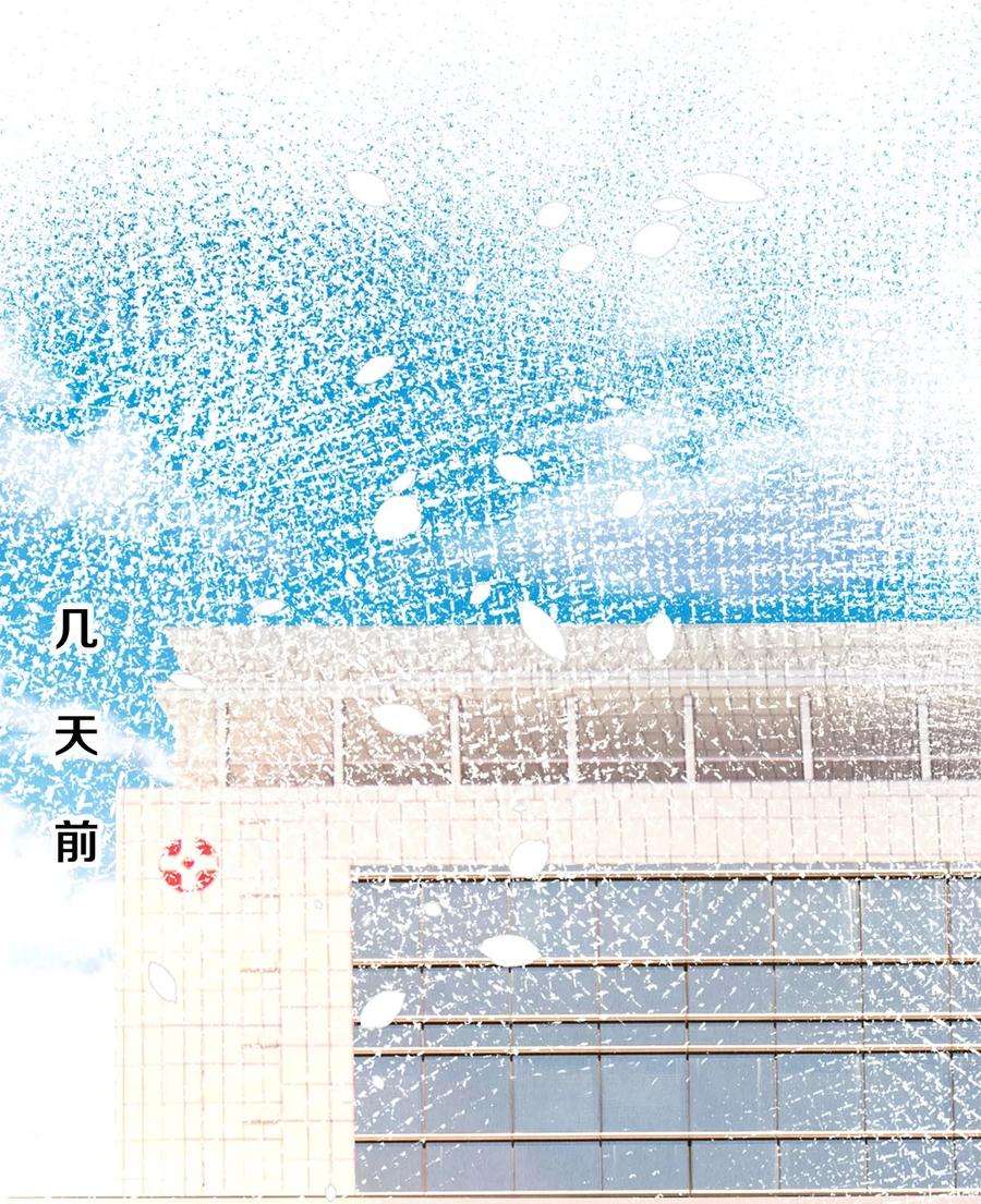 校花与他的小卷毛91 他会为了你毁了自己