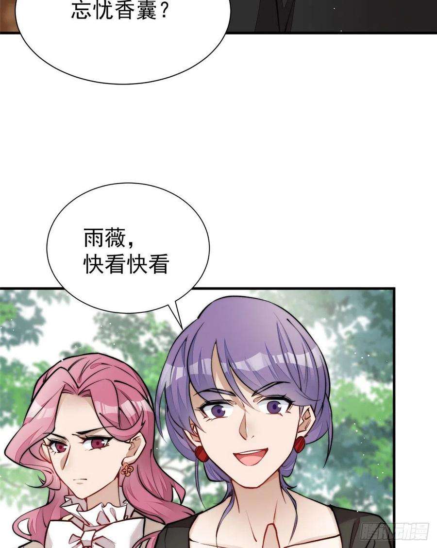 夫人她成了大佬们的团宠（团宠）37 忘忧香囊