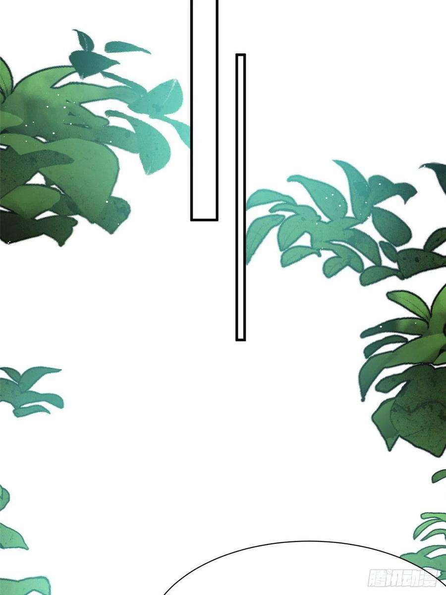 夫人她成了大佬们的团宠（团宠）37 忘忧香囊