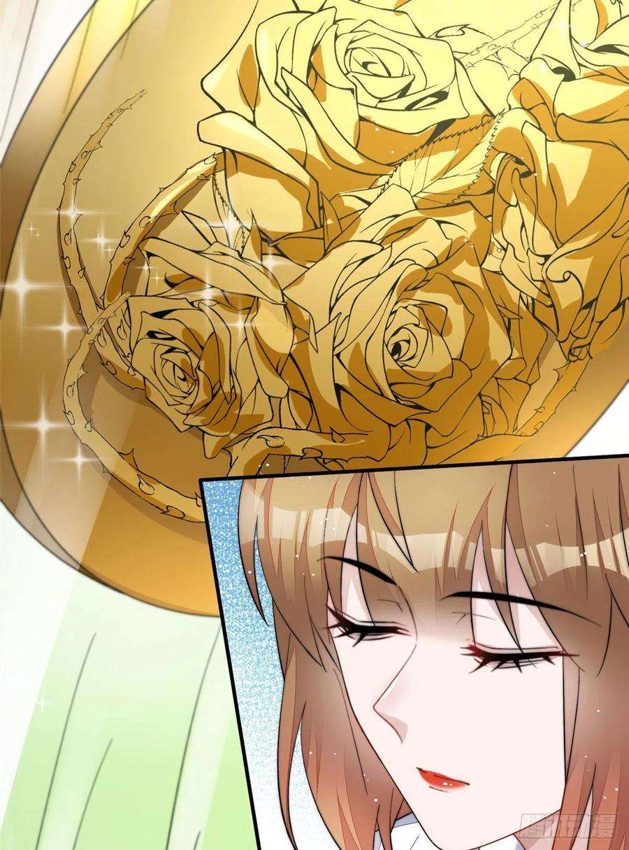 夫人她成了大佬们的团宠（团宠）47 高手已就位