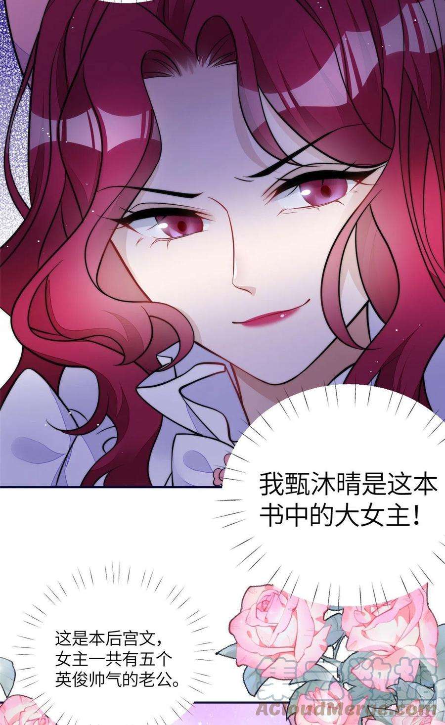 夫人她成了大佬们的团宠（团宠）73 谁才是大女主