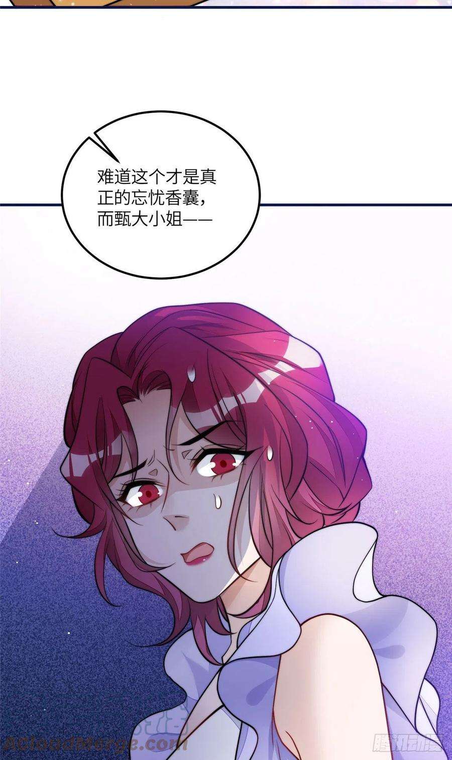夫人她成了大佬们的团宠（团宠）78 真的忘忧香囊