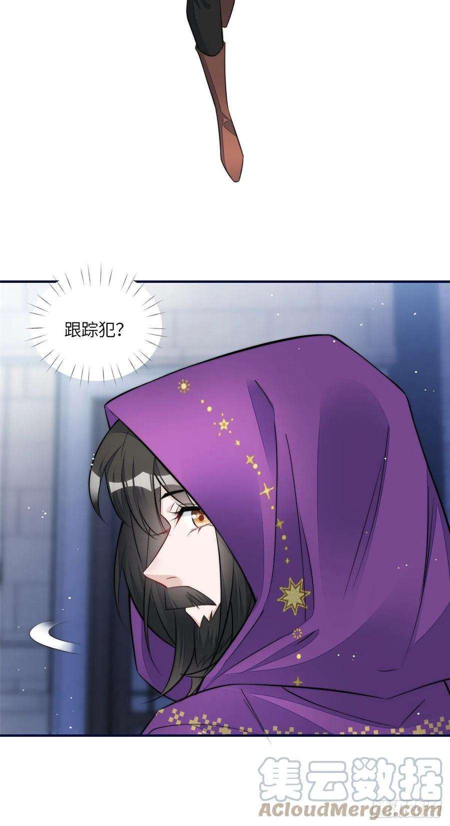 夫人她成了大佬们的团宠（团宠）96 被跟踪了