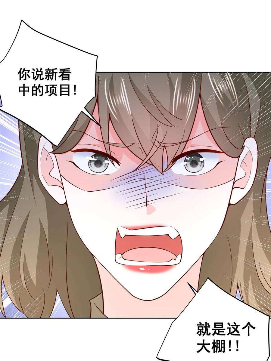 摊牌了，我全职业系统！355 新项目计划书