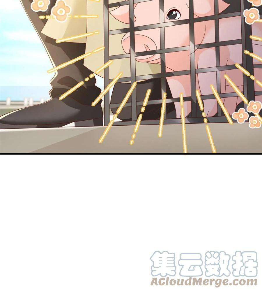 摊牌了，我全职业系统！371 英明伟大的决策