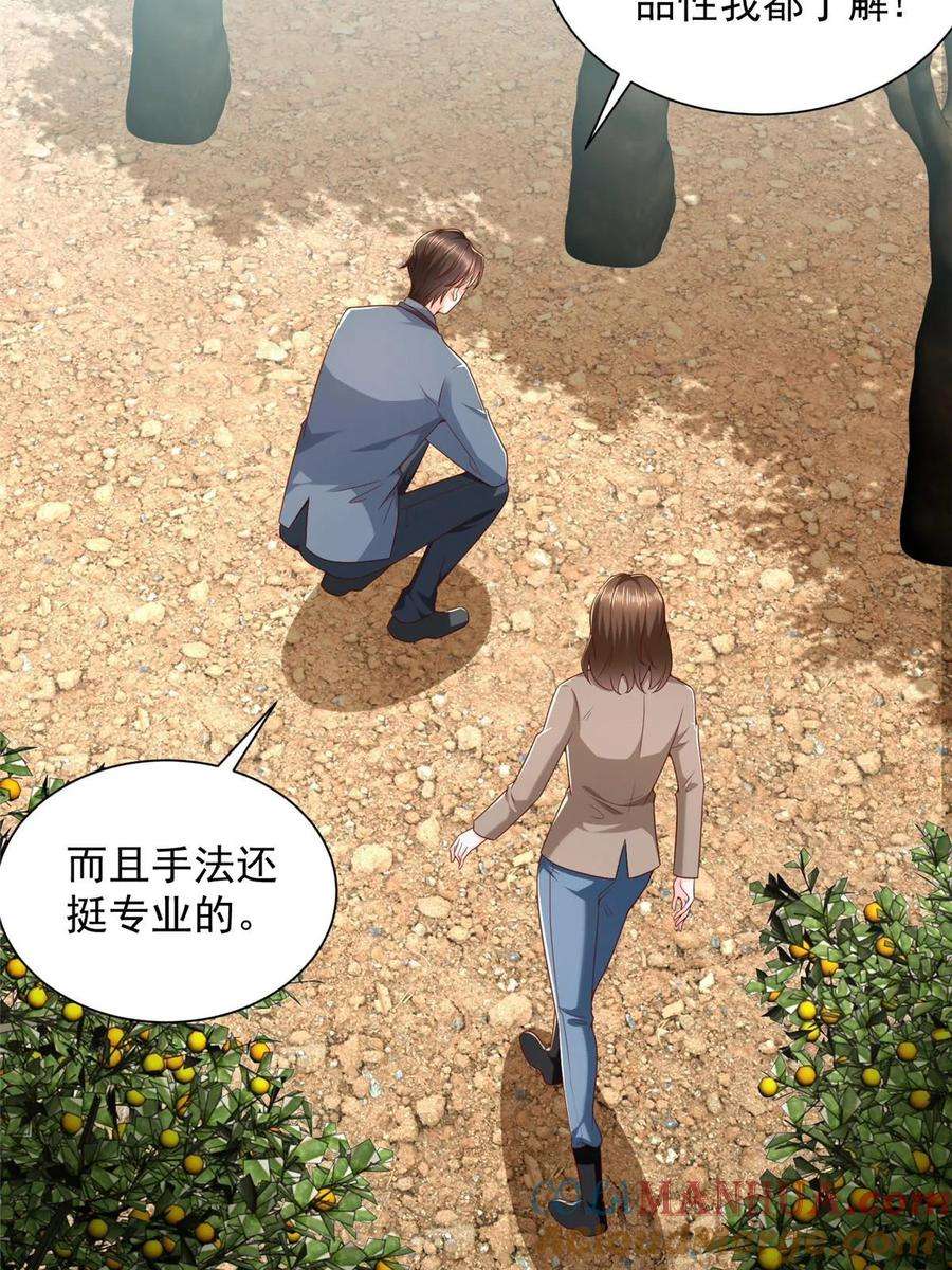 摊牌了，我全职业系统！436 泥土的配方并无特别之处