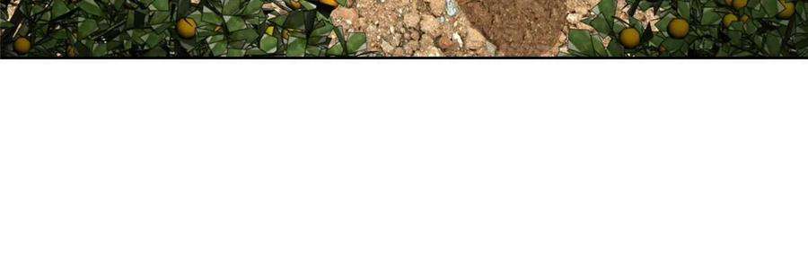 摊牌了，我全职业系统！436 泥土的配方并无特别之处