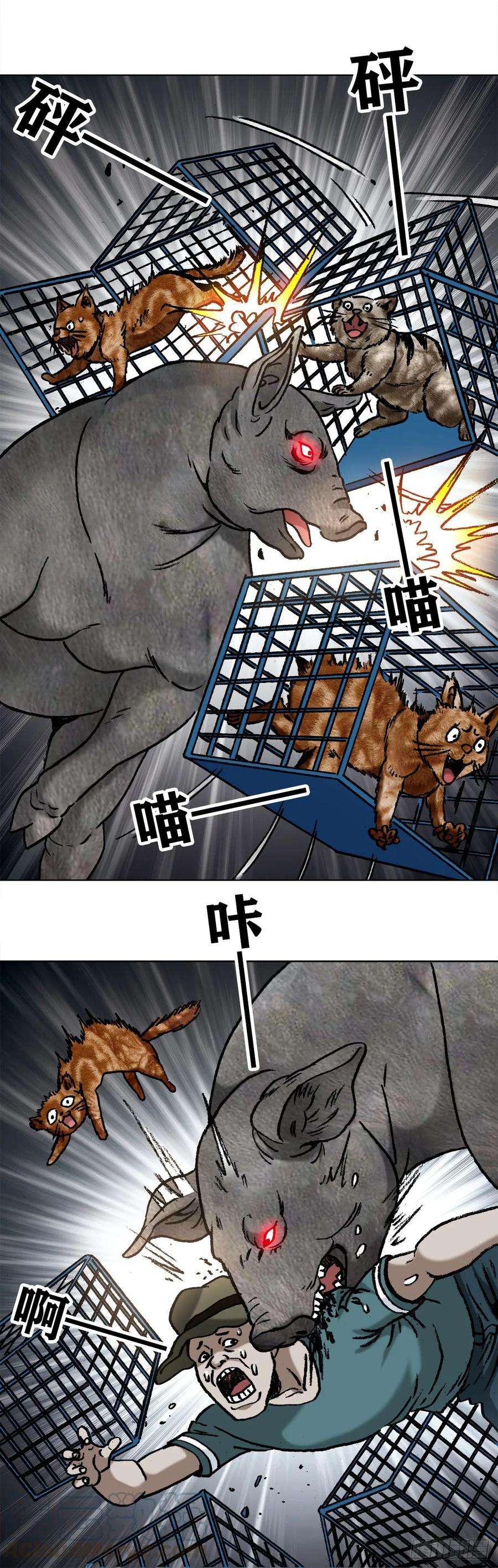 中国惊奇先生（神鬼七杀令）1030 大黑猪